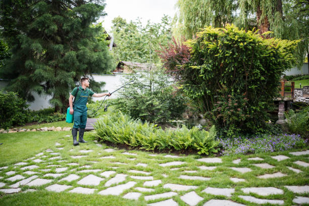 Best Residential Pest Control  in , WV