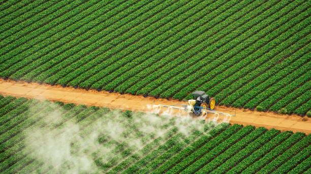 Best Commercial Pest Control Services  in , WV