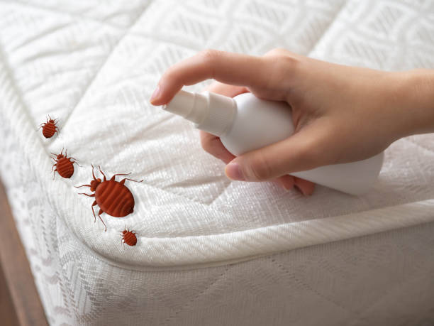 Best Emergency Pest Control  in , WV